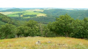 pohled-z-velke-plese